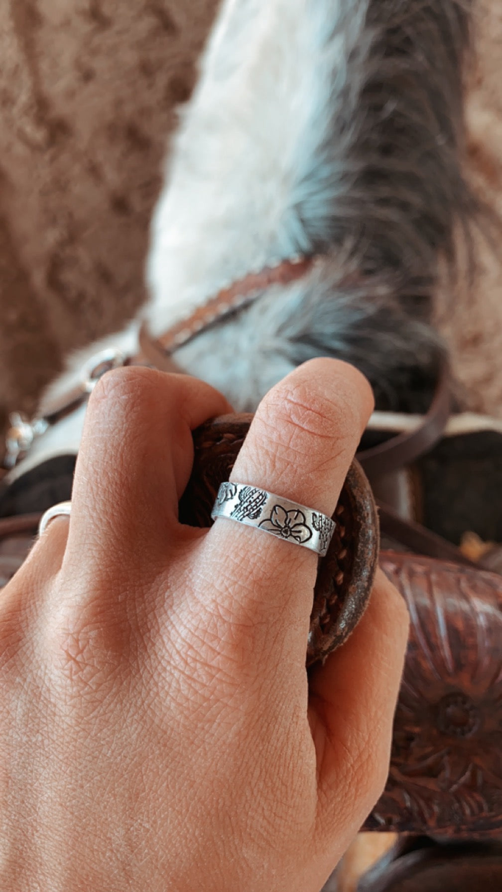 Southwest Desert Thin Ring